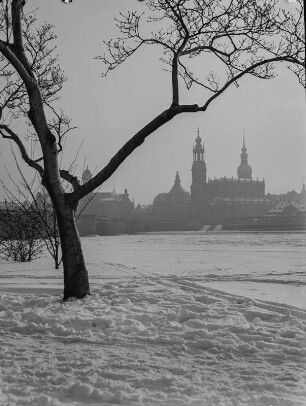 Dresden. Blick vom Neustädter Elbufer auf die Altstadt mit Katholischer Hofkirche, Residenzschloss und Ständehaus