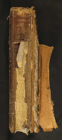 Familienalbum : Familienalbum. Ledereinband mit Goldprägung und Goldschnitt sowie Metallschließe; 27 x 22 x 5 cm (ab 1865). Dresden: SLUB/DF 2017.C.98