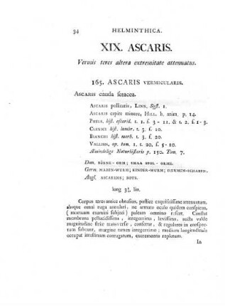 XIX. Ascaris.