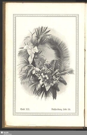 Tafel XII : Beschreibung Seite 55