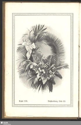 Tafel XII : Beschreibung Seite 55