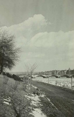 Albertbrücke : Dresden, Elbbrücken im Hochwasser
