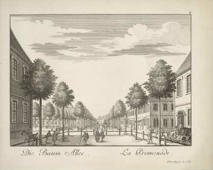 Baumallee