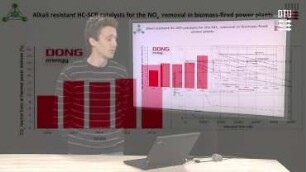 Alkali-resistant HC-SCR Catalyst for Biomass Applications