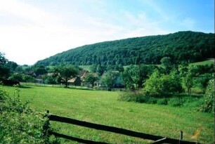 Wiesen mit Bäumen, Ort und Landschaft, hinten Willinger Berg