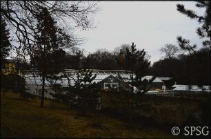 Potsdam, Park Sanssouci, Botanik
