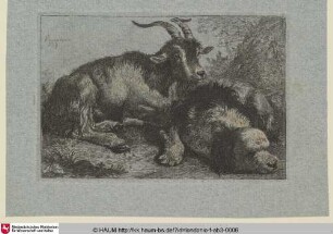 [Die neben dem schlafenden Hund liegende Ziege]