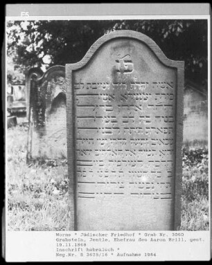 Grabstein der Jentle, Ehefrau des Aaron Brill (gestorben 1868.11.19)