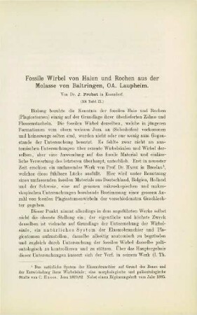 Fossile Wirbel von Haien und Rochen aus der Molasse von Baltringen, OA. Laupheim