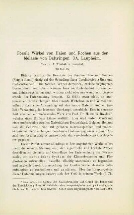 Fossile Wirbel von Haien und Rochen aus der Molasse von Baltringen, OA. Laupheim