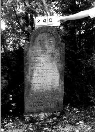 Grabstein 240