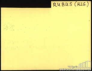 RUBUS: Allgemein
