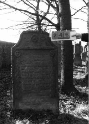 Grabstein 246 (Index: 100115984) Material: Sandstein Zustand: verwittert Maße HxBxT: 116x68x13 cm Beschreibung: Stele mit konkav eingezogenem Segmentbogenabschluß, eingetieftes Schriftfeld Symbolik: Blüten, Ranken: Grabstein 246