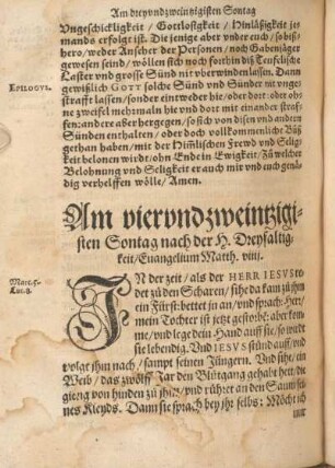 Am viervndzweintzigisten Sontag nach der H. Dreyfaltigkeit, Euangelium Matth. viiij.