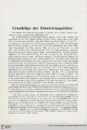 Grundzüge der Entwicklungslehre
