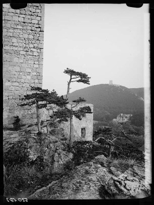 Baden bei Wien, Ruine Rauenstein