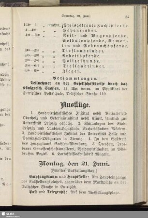 Ausflüge