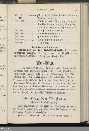 Ausflüge