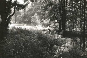 Dresden-Loschwitz. Schloss Eckberg. Im Park