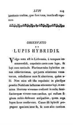 Observatio De Lupis Hybridis.