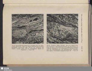 Fig. 26. Prasinit