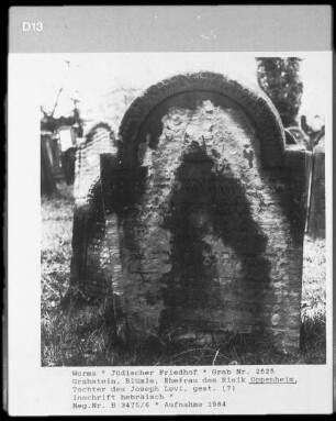 Grabstein von Blümle, Ehefrau des Eisik Oppenheim, Tochter des Joseph Levi