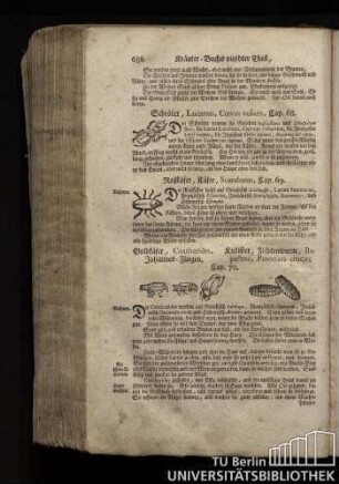 Cap. 68. Schroeter, Lucanus, Cervus volans.