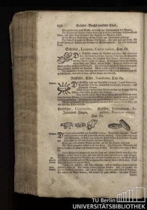 Cap. 68. Schroeter, Lucanus, Cervus volans.