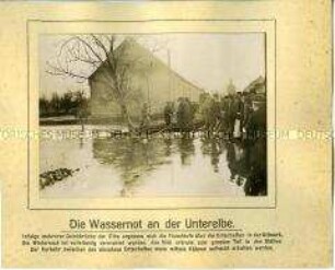 Überschwemmungen an der Unterelbe