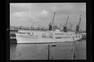 Aurelia