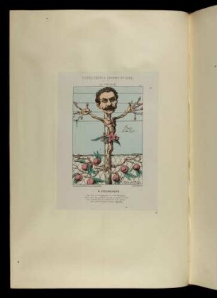 Fleurs, fruits et légumes du jour. Le pêcher
