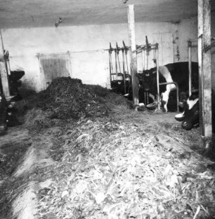 Futtertisch