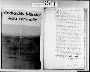 Johan Schwacke wegen Diebstahl am Pranger mit Ruten gestrichen