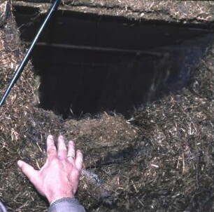 Innenschacht zur Entnahme in Hochsilos