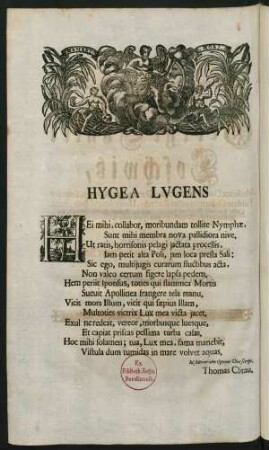 Hygea Lugens
