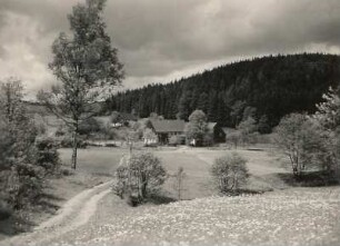 Altenberg-Hirschsprung. Gehöfte im Tal der Hinteren Biela