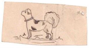 Hund : Seitliche Darstellung eines Hundes