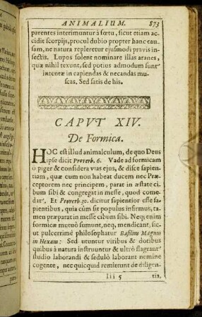 Caput XIV. De Formica.