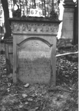 Grabstein 675 (Index: 99900549) Material: Sandstein Zustand: gut erhalten, Stele vom Sockel gestürzt, lehnt vor diesem Maße HxBxT: 155x60x24 cm Beschreibung: ursprünglich aufgesockelte Stele mit Abdeckplatte, darauf Blattaufsätze, nach unten hin Rundbogenfries, vom Sockel heruntergestürzt, lehnt vor diesem Symbolik: Rundbogenfries: Grabstein 675