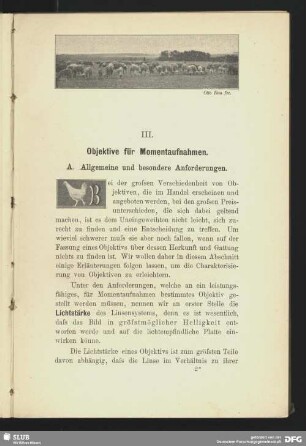 Schafherde auf der Weide