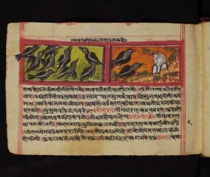 Illustration: f. 10v-14v