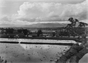 Kulturlandschaft : Durch Reisanbau geprägte Landschaft auf Sumatra. Im Hintergrund eine Bergkette.