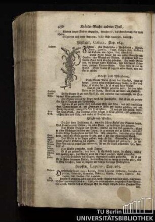 Cap. 264. Filzkraut, Cuscuta.