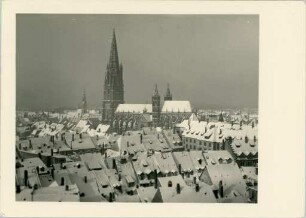 Freiburg im Breisgau