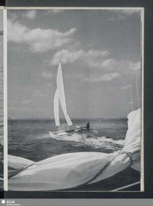 Trimaran