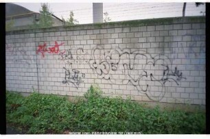 bENS