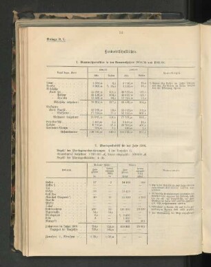 1. Baumwollproduktion in den Baumwolljahren 1904/05 und 1905/06.