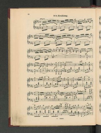 No.8. Erzählung.