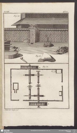 Pl. VIII. 4e. Sec.