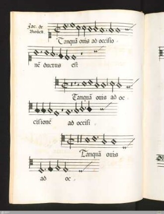 Tanquam ovis ad occisionem